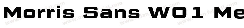Morris Sans W01 Medi字体转换